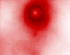 hausverwaltung freeware