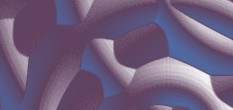hausverwaltung download