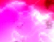 hausverwaltung download
