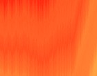 hausverwalter software