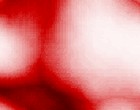 grobe pflichtverletzung hausverwalter