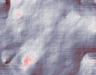 hausverwaltung kln