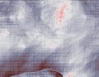 hausverwaltung software
