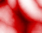 hausverwaltung kln