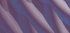 hausverwaltung software