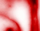 hausverwaltung freeware