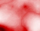 hausverwaltung freeware