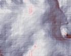 kln hausverwaltung