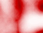 freeware hausverwaltung