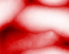 hausverwaltung download