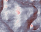 hausverwalter 2005